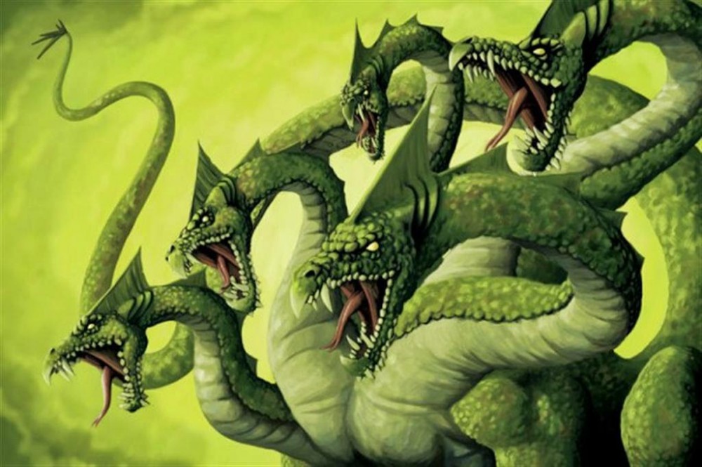 Kraken place