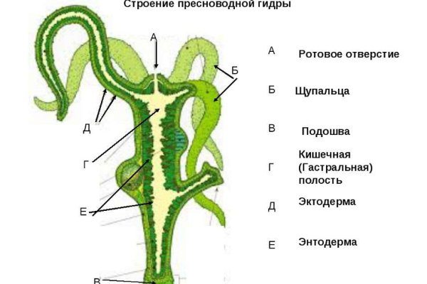 Как зайти на кракен kr2web in