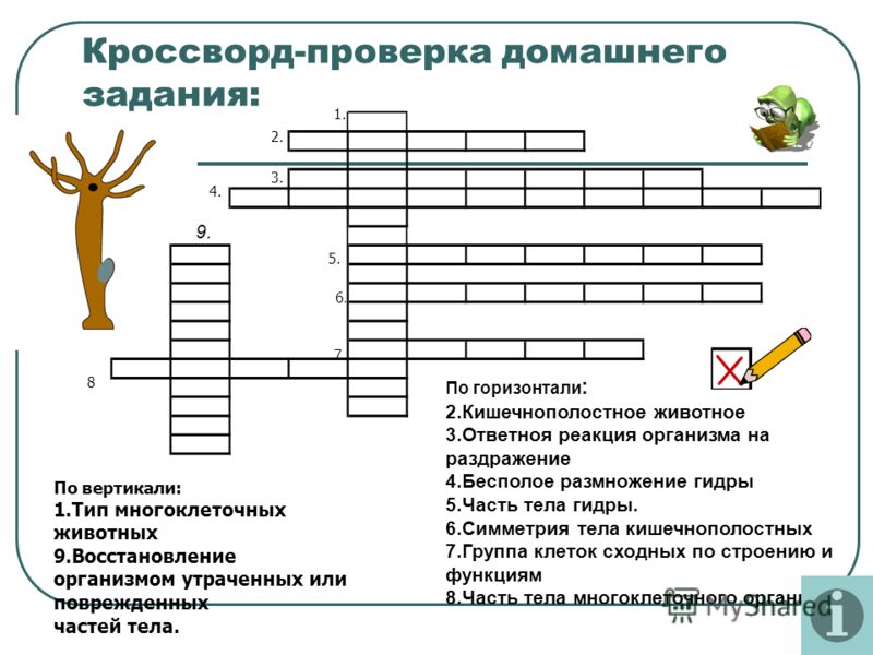 Kraken ссылка зеркало рабочее